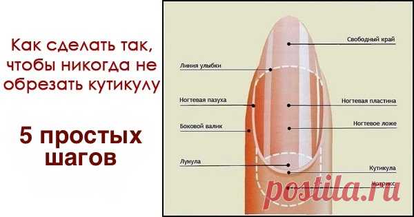 Избавляемся от кутикулы навсегда
