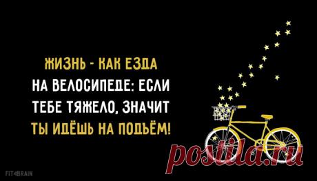 фитнес для мозга: 24 тыс изображений найдено в Яндекс.Картинках