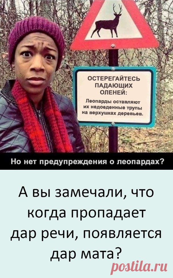 Новый инструмент маркетинга – аудиореклама ВК! - Онлайн-курсы от экспертов и тренеров