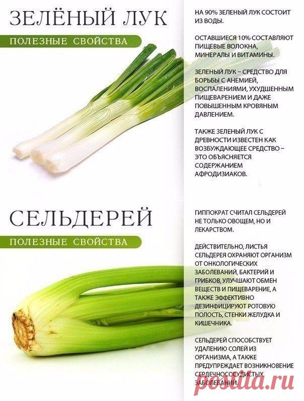 Ликбез по зелени