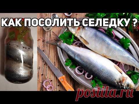 КАК СДЕЛАТЬ МАЛОСОЛЬНУЮ СЕЛЕДКУ