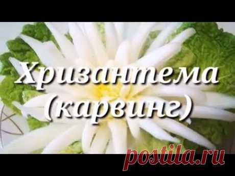 Хризантема из пекинской капусты