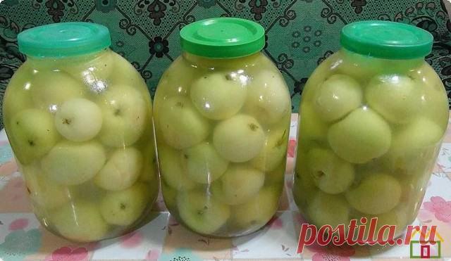 Моченые яблоки на зиму - рецепты на 3х литровую банку