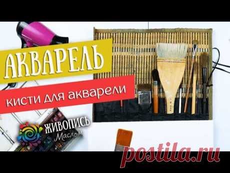 Акварель для новичков - Кисти для акварели. Художник Елена Зыкова