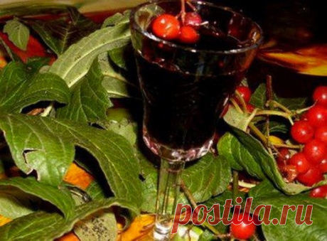 НАСТОЙКА "КАЛИНОВКА"

СОХРАНЯЙ себе, чтобы НЕ потерять.

У настойки по такому рецепту получается превосходный вкус и крепость около 40 град. Этот напиток не стыдно предложить и званым гостям во время праздничного застолья.

Ингредиенты:
- ягоды калины – 1 кг
- сахар – 50-100 г
- водка – 800 г
- марля
- бутылки

Приготовление:

Калину отжать так тщательно, чтобы из 1 кг ягод получилось примерно 200 г чистого сока.

Размешать со 100 г сахара (при желании количество можно уме...