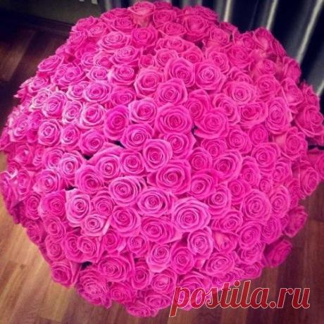 (96) Pinterest