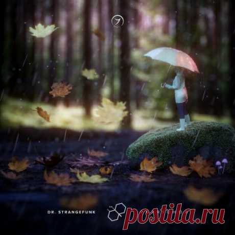 Dr. Strangefunk – Petrichor