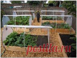 Парник-короб - Садоводка