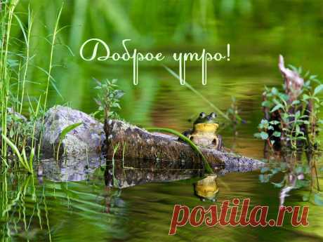 Алина Г. on Twitter “В родных местах ромашкой пахнет ветер..
И до травинки вся земля своя!
В родных местах и солнце ярче светит...
И серебристей голос у ручья!
В родных местах -у неба цвет синее,
В родных местах -просторнее луга,
Стволы берёз прямее и стройнее...
И разноцветней радуги дуга!..
Люблю”