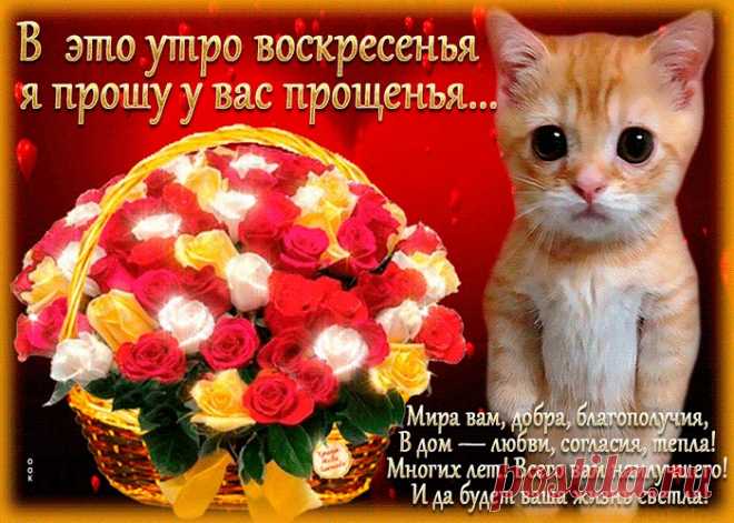 Картинки с Прощенным Воскресеньем | ТОП Картинки