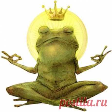 амфибии