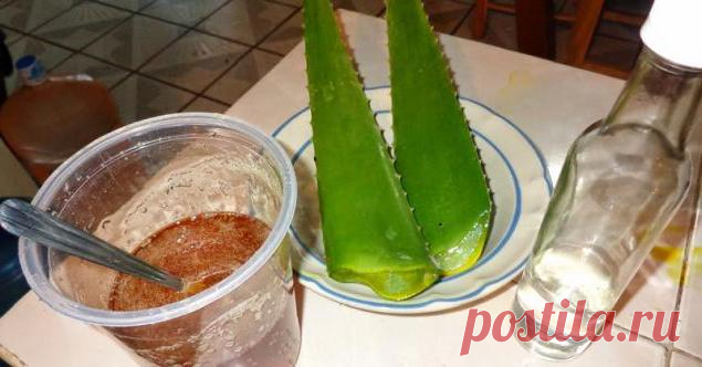 Алоэ, мед и кагор: что лечит, рецепт приготовления, применение