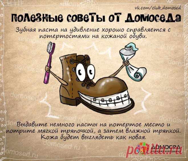 Полезные советы от Домоседа
