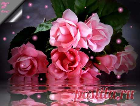 https://www.onlyimage.com/files/images/1457730940.3mkat3g9/roses-for-my-friend-waterbugx2-beautiful-bouquet-mirror-pink-reflection-roses-still-life-1590336.jpg