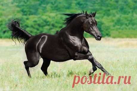 МИР ПОЗДРАВЛЕНИЙ И ОТКРЫТОК...
Лариса Щербакова (Кузнецова)