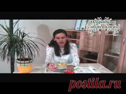 Комнатные растения. Уничтожение мошек. Подкормка комнатных растений