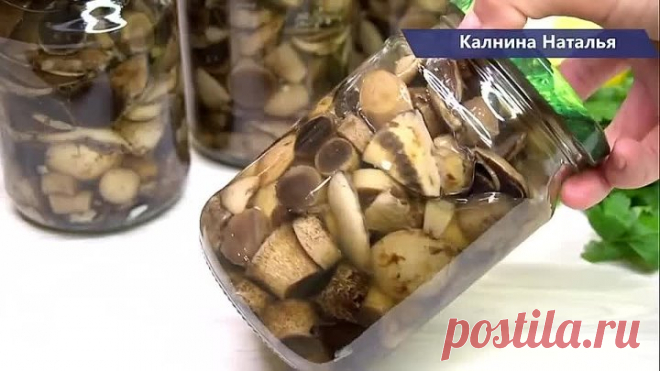 Самые вкусные Маринованные грибы на зиму, они как свежие! Знакомая медик раскрыла все секреты!