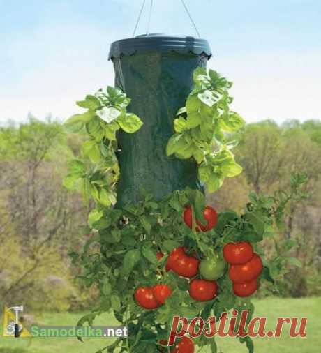 Cамоделки для дачи / Самоделка.net - Сделай сам своими руками | Самоделки. Полезные советы и рекомендации домашнему умельцу