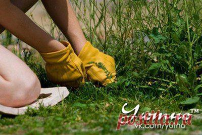 Эффективный способ борьбы с сорняками.