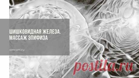 Шишковидная железа. Массаж Эпифиза | Журнал Амром Шишковидная железа. Эпифиз является одним из самых незначительных по размеру в организме, но очень важным по значимости. Периодический массаж шишковидной