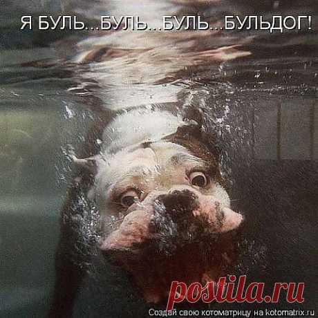 (74) Одноклассники