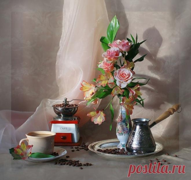 Изысканные фотонатюрморты