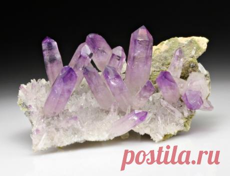 Survival of the Strangest