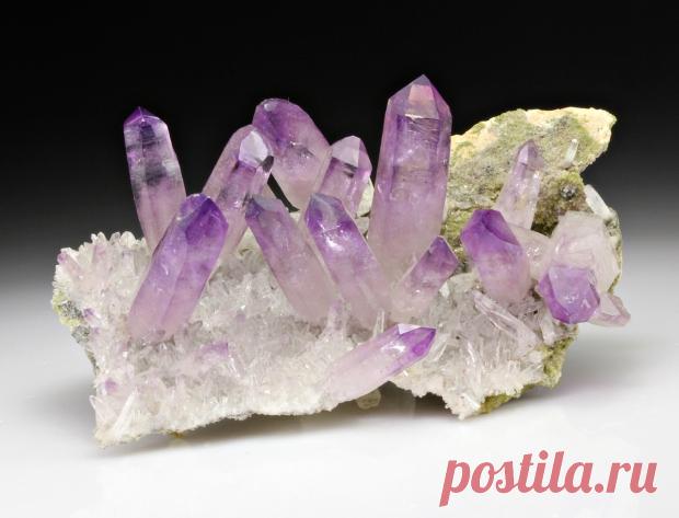 Survival of the Strangest