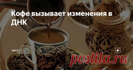 Кофе вызывает изменения в ДНК | Xrust | Яндекс Дзен