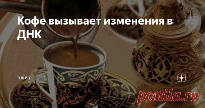 Кофе вызывает изменения в ДНК | Xrust | Яндекс Дзен