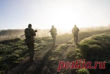 В ДНР заявили о массовом бегстве украинских солдат с линии фронта. Украинские солдаты массово бегут с линии фронта в районе Донецка, в последнее время их число сократилось как минимум втрое. Об этом заявил советник главы Донецкой народной республики (ДНР) Ян Гагин. По его словам, в последнее время на первой линии обороны находится очень маленькое количество бойцов.