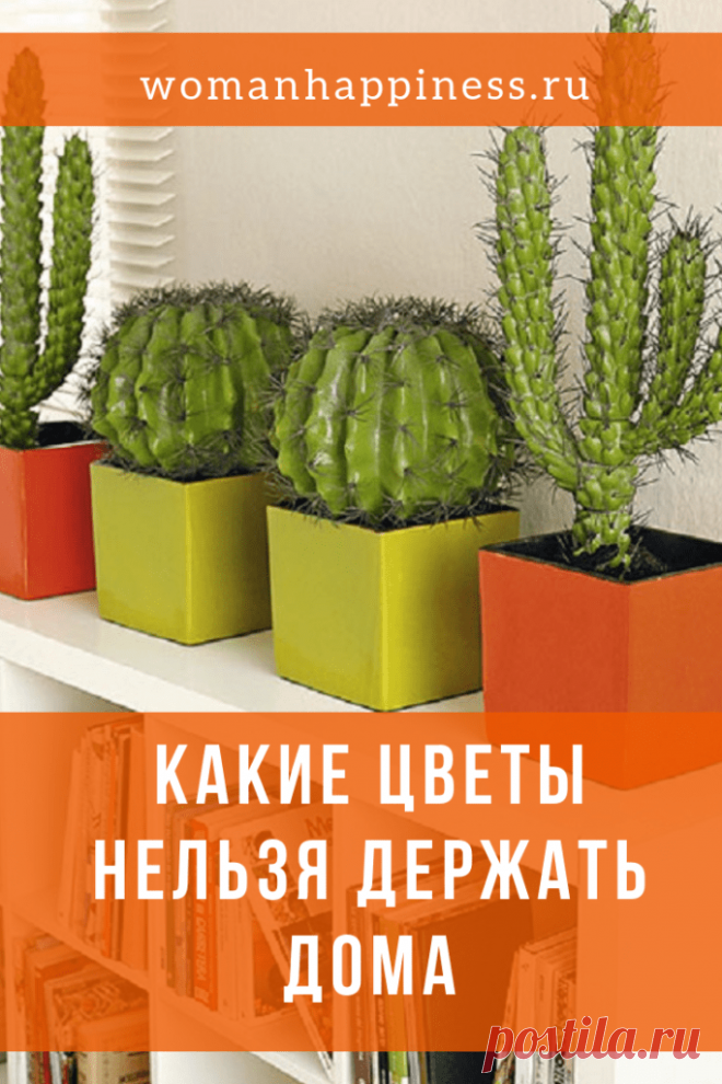 Какие цветы нельзя держать дома Бывает и так, что человек начинает чувствовать недомогание, не связанное с заболеванием, у него случаются частые перепады настроения, в доме учащаются ссоры и конфликты. Не спешите грешить на порчу или сглаз — быть может, у вас в доме есть растения, которые просто не умеют уживаться с человеком. Вот самые распространенные из них. Кликайте на фото, чтобы прочитать ⤴