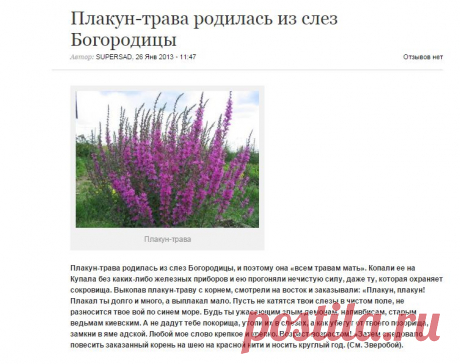 ЖЕНСКАЯ  ТРАВКА ОСТАНАВЛИВАЕТ КРОВОТЕЧЕНИЯ...  проверено....Плакун-трава родилась из слез Богородицы | СуперСадовник