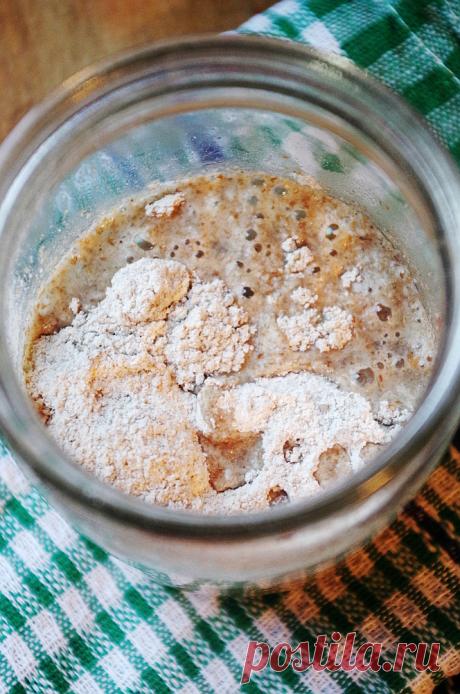 Каталог статей и рецептов