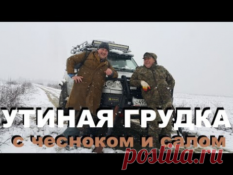 УТИНАЯ ГРУДКА С ЧЕСНОКОМ И САЛОМ РЕЦЕПТЫ СЮФ ВЕСЕННЯЯ ОХОТА НА УТКУ В АДЫГЕЕ