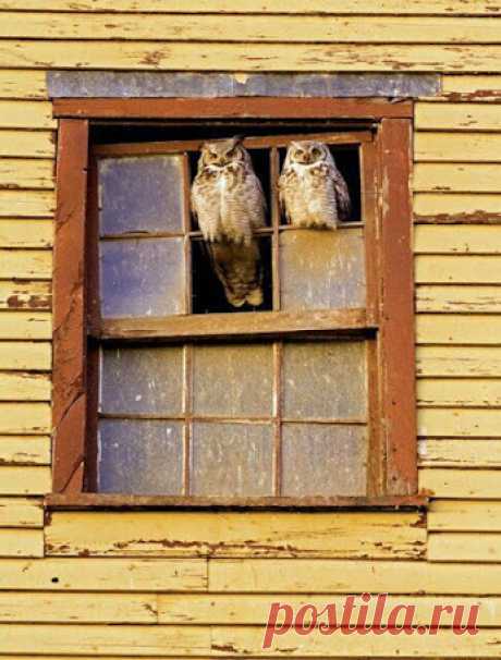 Doors &amp; Windows in our Life ❤ – Сообщество – Google+