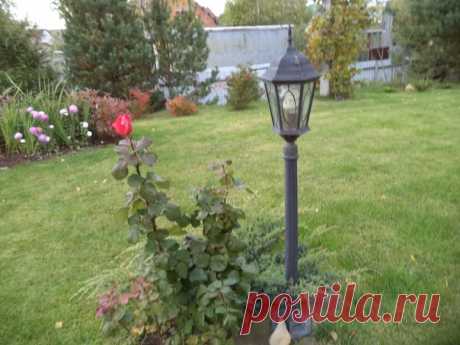 Интересная идея с фонарем
#ландшафтныйдизайн #дизайнфото