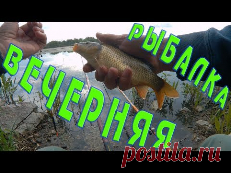 ПОПЛА – ПОППЕР или рыбалка на  карася вечером.