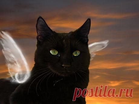 Пока человек не сдаётся, он сильнее своей судьбы!