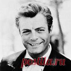 28 сентября в 1924 году родился(ась) Марчелло Мастроянни