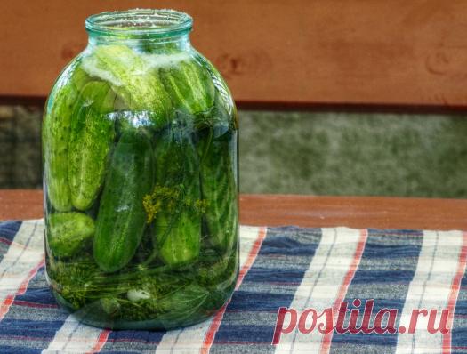 Švelniai rauginti agurkai – Kūmutės virtuvė