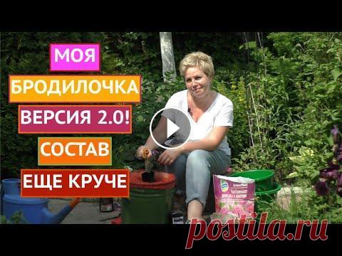 ГОТОВИМ ЗЕЛЕНОЕ УДОБРЕНИЕ! БЕСПЛАТНО И ОЧЕНЬ ПОЛЕЗНО! Я рада всех приветствовать на канале Садовый Гид! УРА! Рецепт нового зеленого удобрения уже готов. Еще сочней, полезней и..ароматней. Вы спросите: а к...