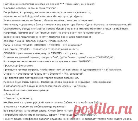 ВЕЛИК, МОГУЧИЙ РУССКИЙ ЯЗЫКА!