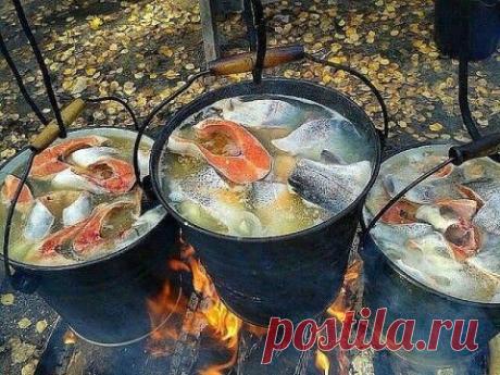 Вот это по-нашему!!