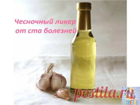 웃 7 ОТЛИЧНЫХ СОВЕТОВ :