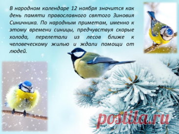 Синичкин день напоминает: даже крохотная помощь может согреть целый мир. Поделитесь крошками — и Вселенная поделится чудом! Пусть в вашем сердце живёт весёлая синица доброты.
Открытки на Синичкин день