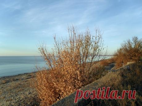 Фотоистория в папках 005 ПРИРОДА - 8 Мая 2018 - Персональный сайт