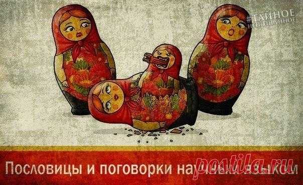 Пословицы и поговорки научным языком.

