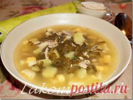 Зеленый борщ с курицей и щавелем