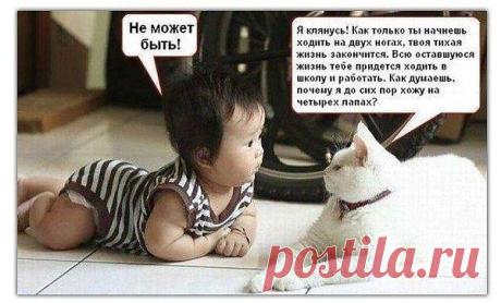 Уроки "житейской мудрости"!